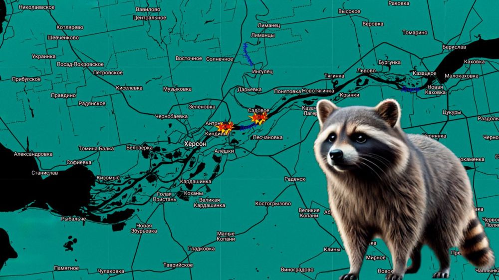 ���� �� �������: ������ ����, ������! ����������� ����������: