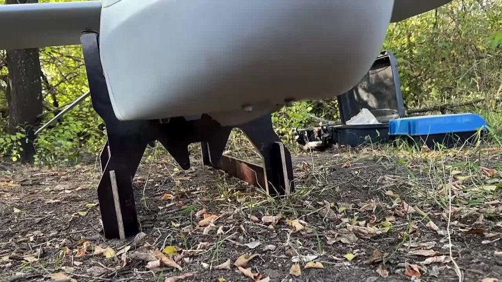 ���� �������-�л � �������� ����� ���� ������ � ������� ������������ �� ���������� �����������