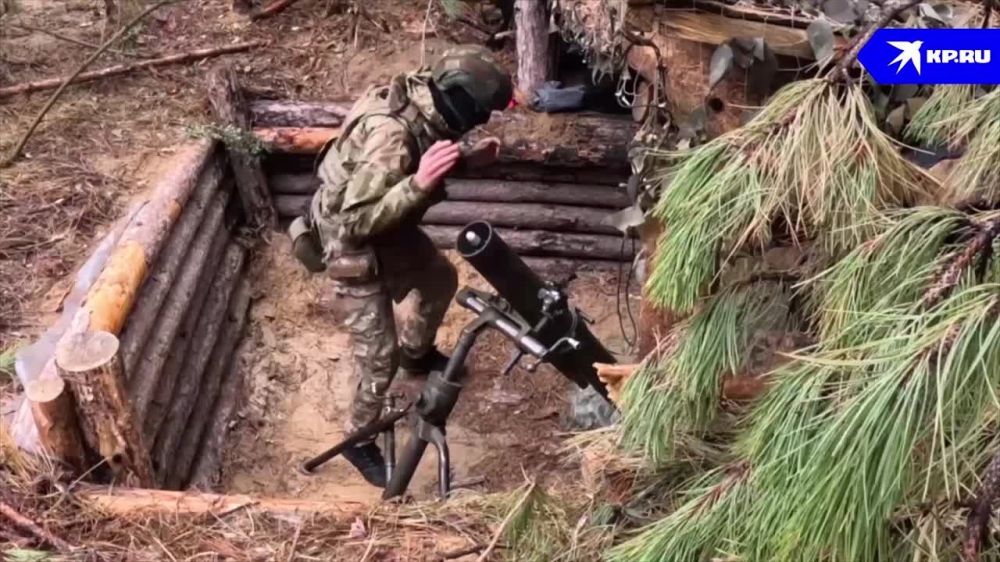 �������� ���� ������ ������: �� ���������� ����������� ������� ������ "������" ��������� ����� ��������� ���������� ���