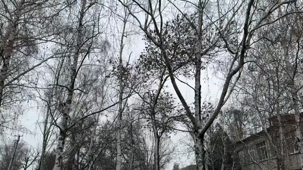 "��������� � ������" �� ���� ����� ������ � ���� ��������