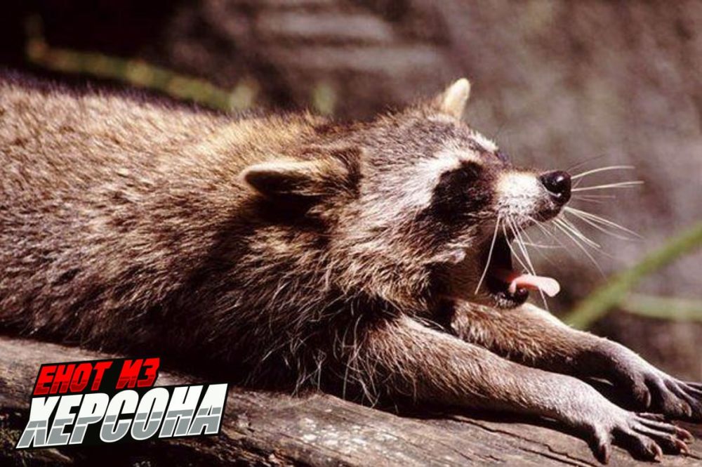 ���� �� �������: ������ ���� ��������� � ������ ����������!