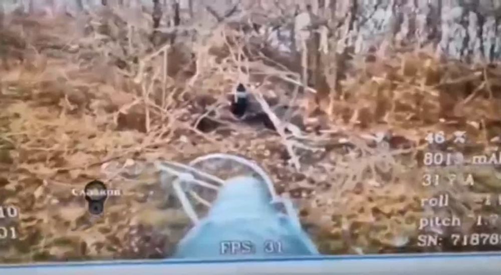 ���� �� �������: ����������� �� ������� ������� ��� FPV ������