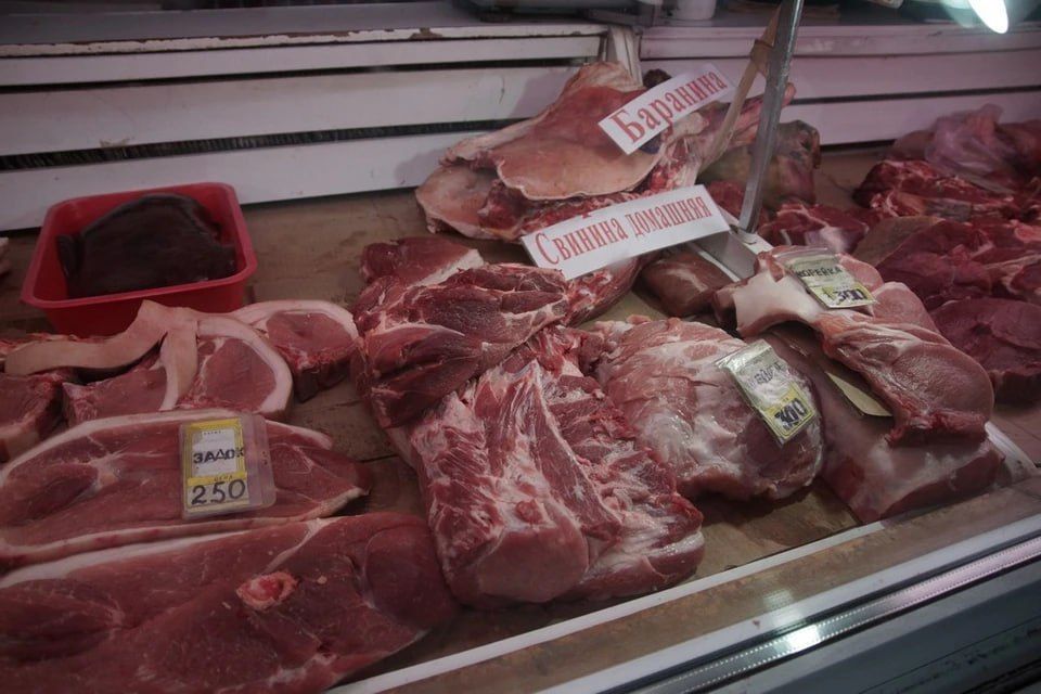 ������������ � ����������� ���������: �������� ���� � ���������� ������� ������ ���������� � 2025 ����