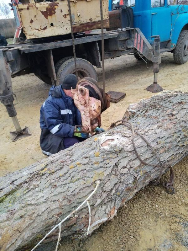 ��������� ��������-��������� ������� ���������� �������� � ���������������� ������������� ������