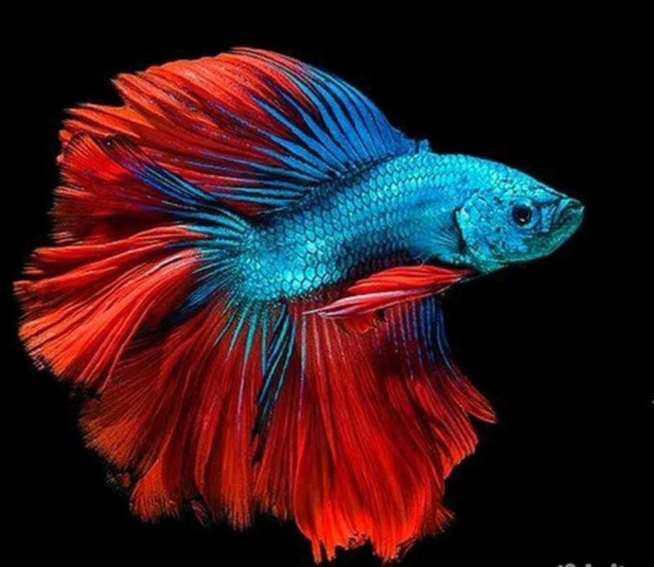 . � �� ����� ��� �������� ����� ����� ������ ��� ���� � ������� ���������� �����