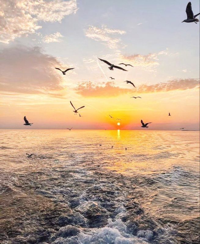 ����� ����������: ������ ����, ������! ����� ������� � �������� ������������ ��� �� ���������� ����� ���! ��������� ��� �������� � �������!