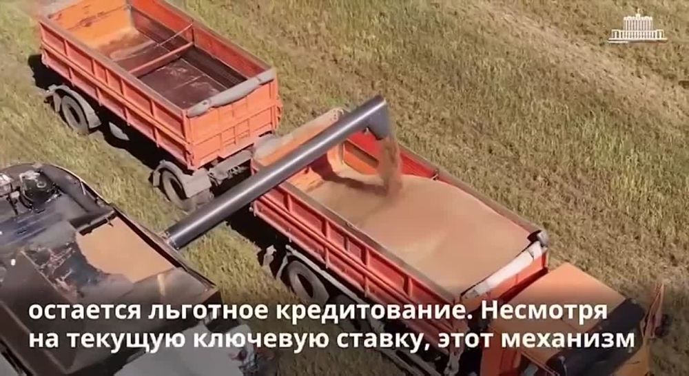 ��� ����������������� ����-�������� ������ ������� ����������� ��������� ���������� ����������� ���������, ����������� ��������������� ������ ��������� �������� 2024 ���� � ���������� � �������-������� ������� 2025 ����