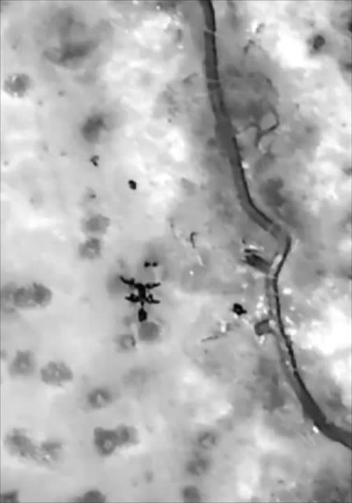 ���� ��������� ���������� ������ ��������� ������������