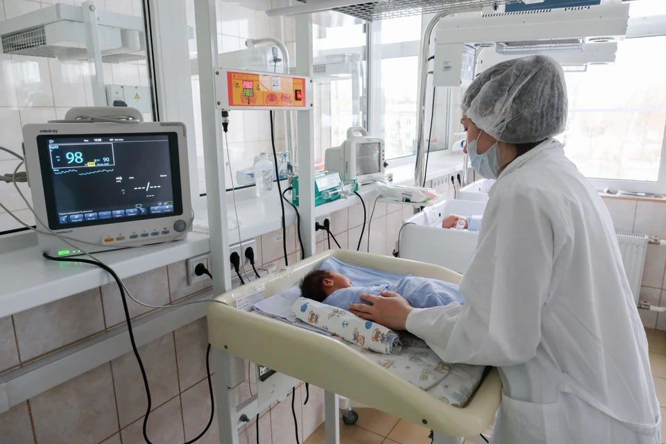 � ���������� ������� � 2024 ���� �������� 735 �����