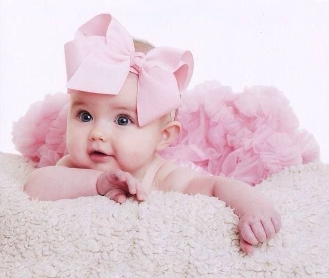 � ���������� ������� � 2024 ���� �������� 735 �����