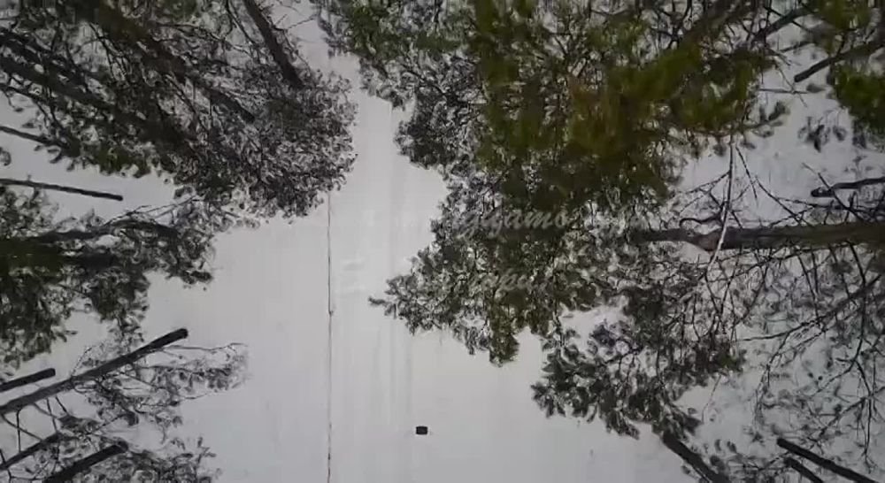 ������������ � ����� ����� �� ����������� ����������� ���������� ������� ������� �������