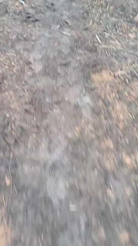 ������ ��������� ������� �� ��������, �� ������ �������� ������� ���