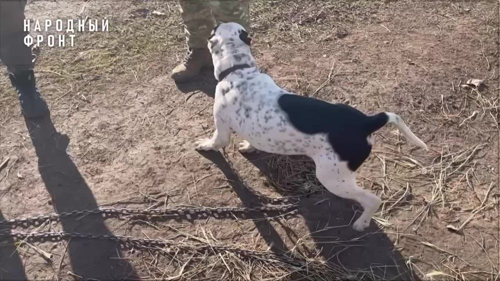 ��������� ��� ������ �� ������, �� �������� �������� ������� � �����