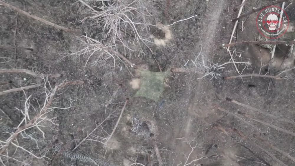 ���� �� �������: ���� ���� ����, ����� �� �������