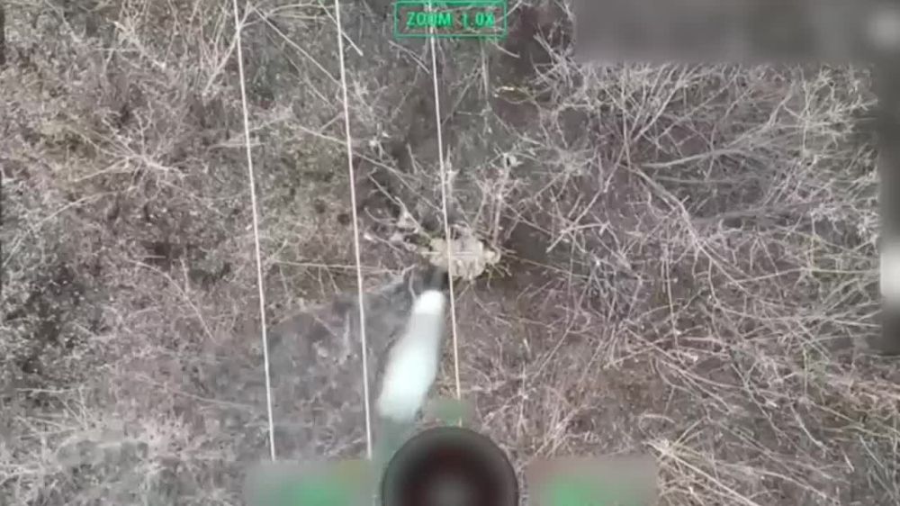 ����� �� � ��������� ��� ������� �������� ���