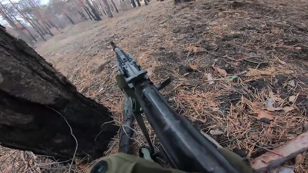 ���� �� �������: ������������� ������� ������ ��������� ����� �� ������� ����������� ����� ������ ���������� ���������������� ���� ������ ������ �� ����� �� ��������� � ������� ���� ���������� ����������� ������� ��������