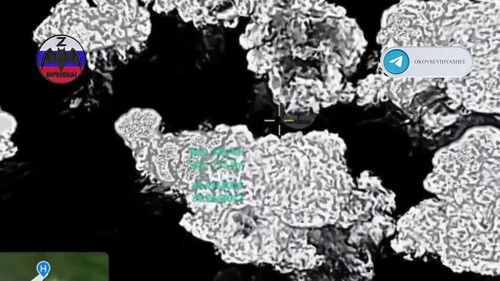 ����� ���������� ���� "���������" � "����" �� �������� ���������� �� ����� �� ����������� � ���� ���