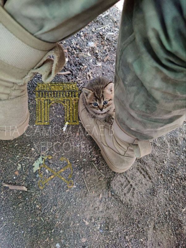 ����� ���������� ����� ����� ������ ������ ��������� ��� ��������� ���� ���������, ������� ���� ���������� ����� ������� �������� � ���������� ��������� ���������� �������