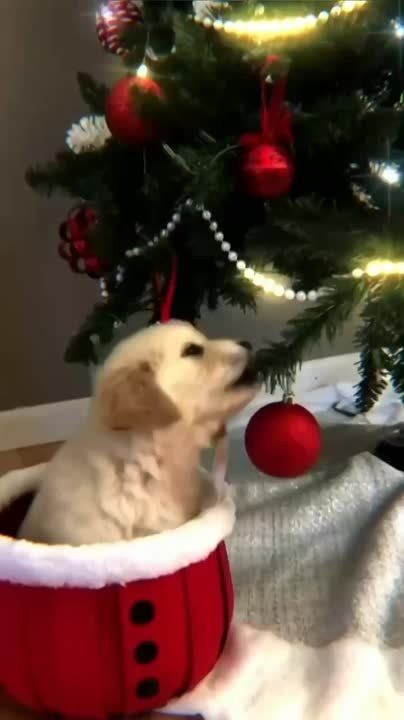 ��� �������� ����������!