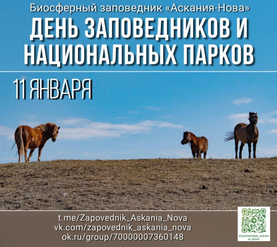 ���� ������������ � ������������ ������