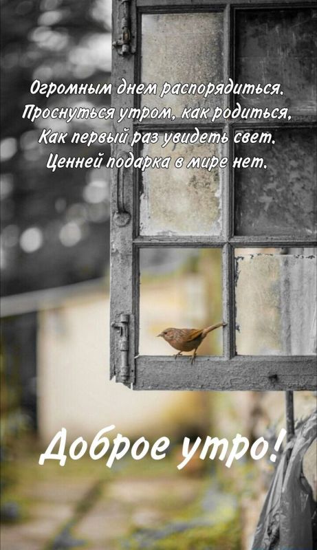 . ��������� ������������ � �������� �������� ������, ������� ��������, ��� �����. ���� �� 0 �� +6, ����� �� +9�. ������ ���������, ��������� ������ ���� � ������� 2 �/�, �������� �� 9 �/�. ����������� #�����������...