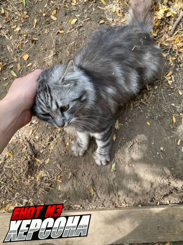 ���� �� �������: ��������� ������ �� ����� � �������