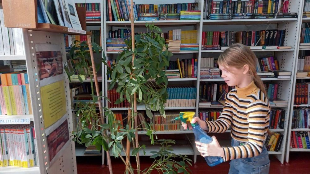 �������������� ���������� ������� ����������� � �������������� ��� ������������� ��������� ���������