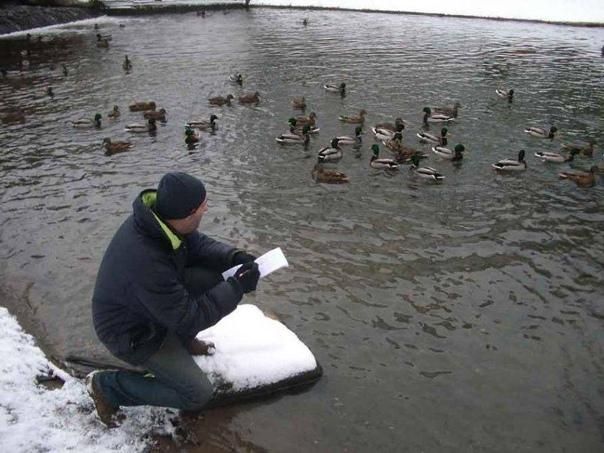 ������ ����������� � ���������� �������� ����� ������������ � ����� �� ����������� ������������� ���� ������ �����