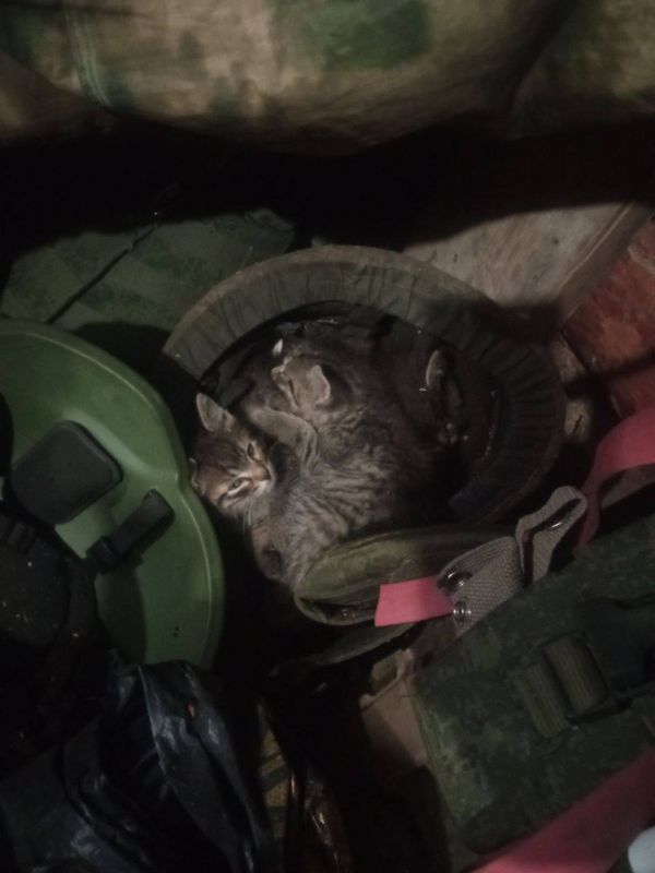 ���� �� �������: ��� ��������, ��� ����� �������������� �������� ����������� ��������� ���� ������ �� �������������� �� ��