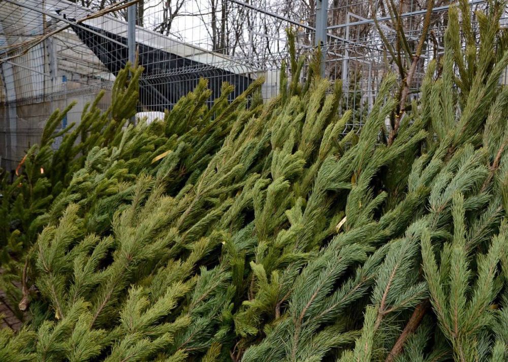 ��� ��������� ������������� ���������� ����, ����� ��������