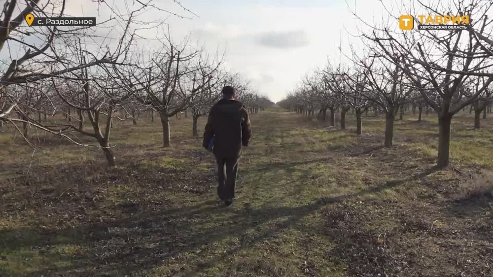 � ������� 2024 ���� ����������� 50 ��� �� ��� ��������� �������-������������� �������������� ��������� "����� ����������"