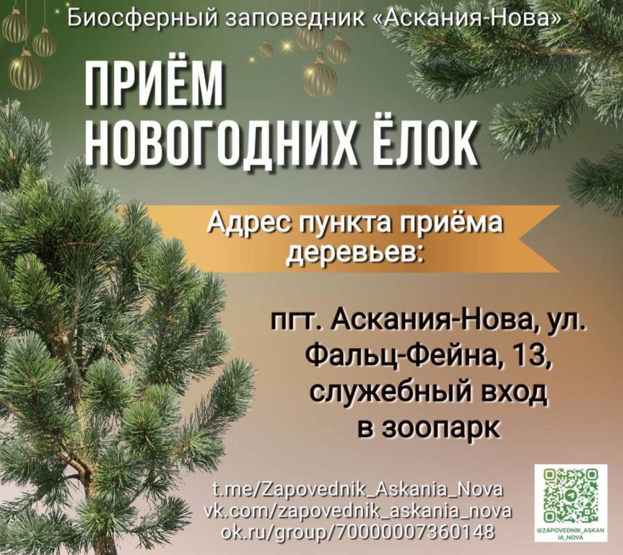 ���������� ���������� "�������-����" �������� ������������� ����� "����, ����!"