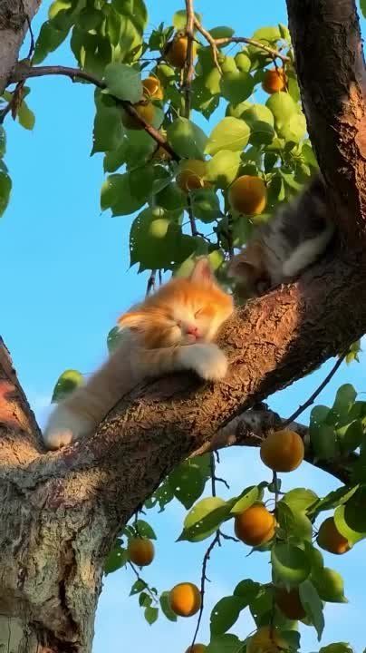 ��������� ������� � ������ � �� � ��� �� ������