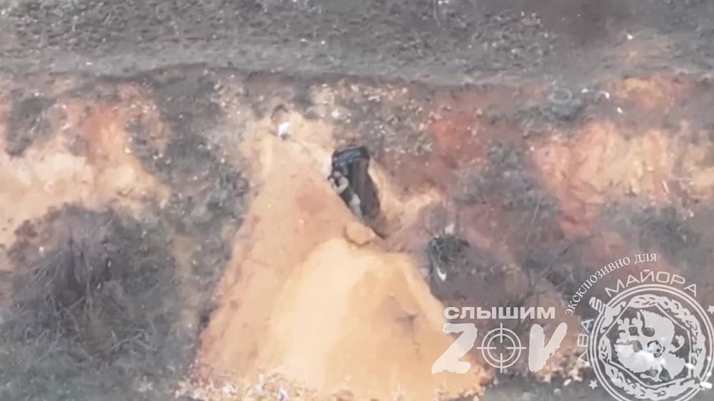 ��� ������: ���������� �����������. ������� ��������� �������� ���������� - ��������� ��������� ������ ������������� 205 �������