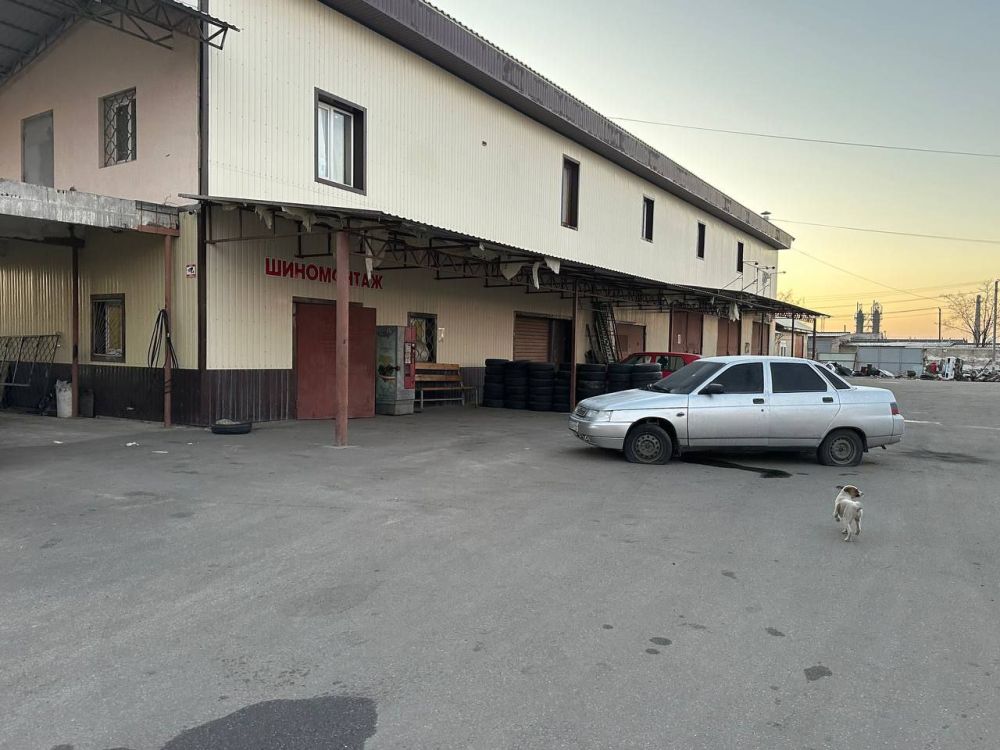 ��� ������ ������ ���������� � ���������� �������� ��� � ����� �������, ������� ������� ����