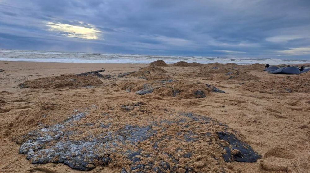 ��������� ������ ������������������ ������!