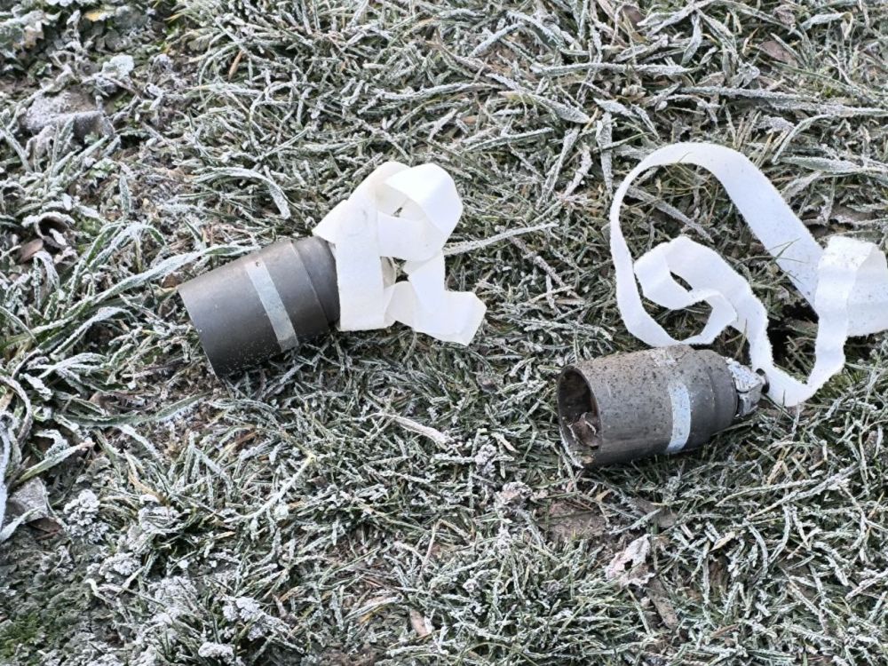 ������� ����������� �������� ������������ ������� � �������� � ���������� � ���������� �������� ���