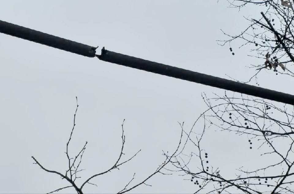 � ������� ������������ ������������ ��������� ��� ����������