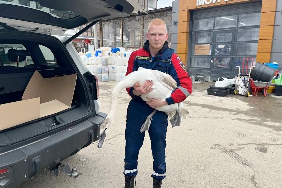 ������ ������ �� ��������� ������: � ����� ���������� ����������� ������ ������ � ������� �������