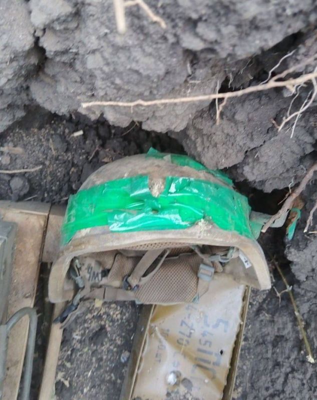 ����������� �����������. ��, ��� �������� �� ����-��������