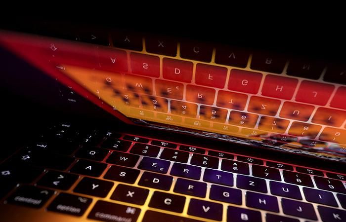 � 2024 ���� ������������ ������������ 135 ������ ������