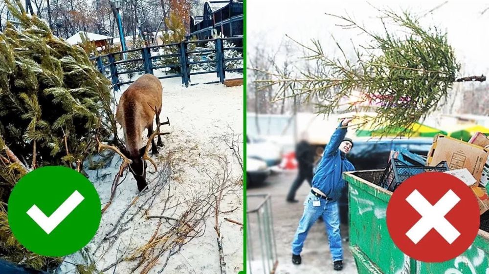 �� ������������ ���������� ���� � �������� ������� ��������