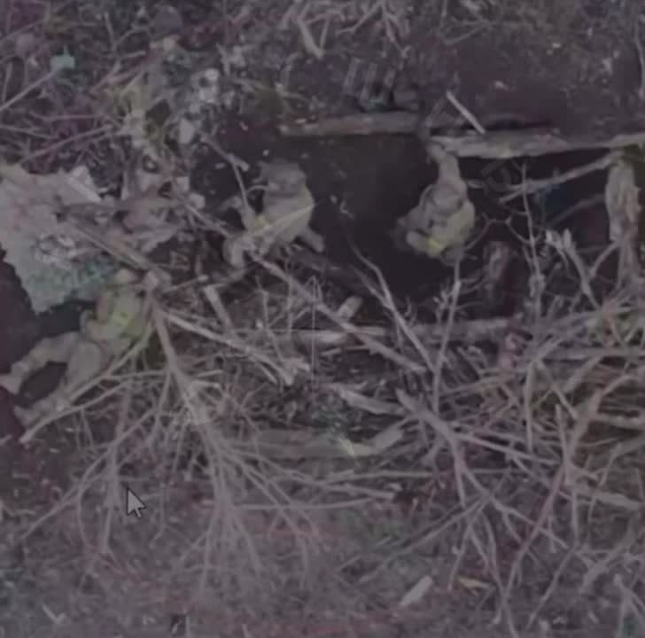 ����� � ������������� ���������� ��������������