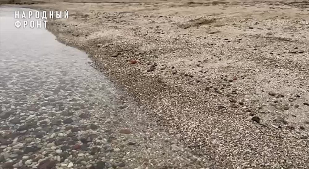 �������������� ������ ��������� ������ ����������� 80 �� ��������� � ���������� ������� �� ������� ������� ��������������