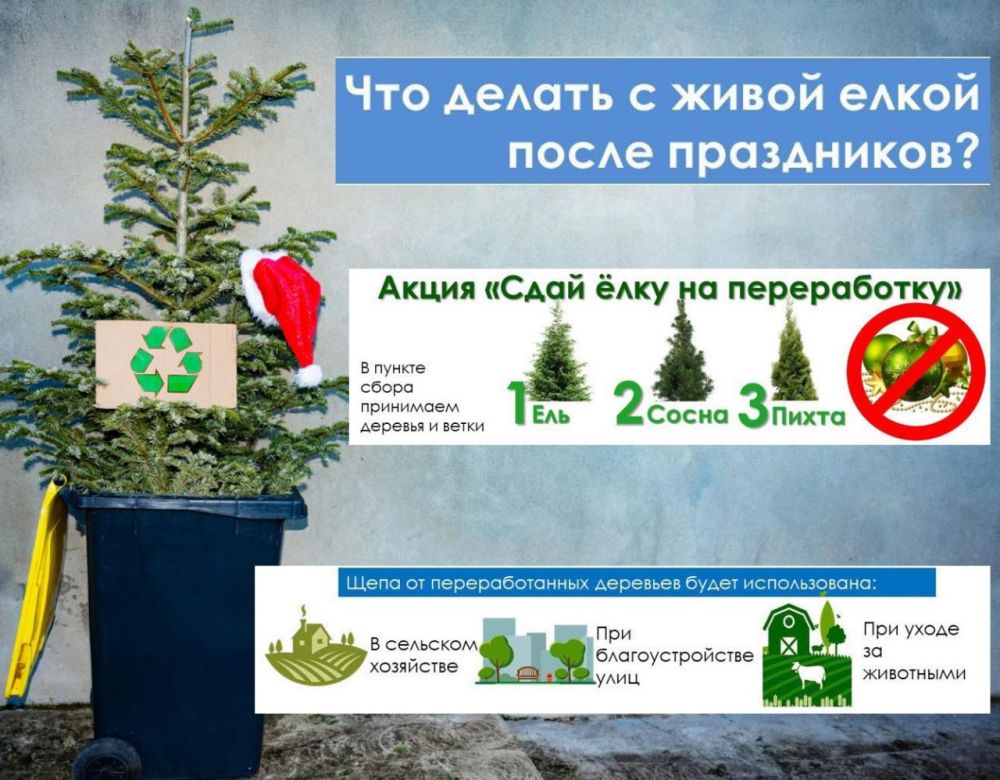 ���� ���� �� �����������!