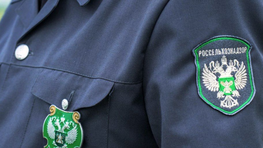 ���������������� ���� ����� ������� �� ���������� ������� ����� ������� ������