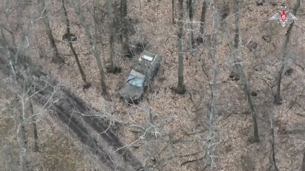 ��������� � �����: ������ FPV-����� ������� ����� ���