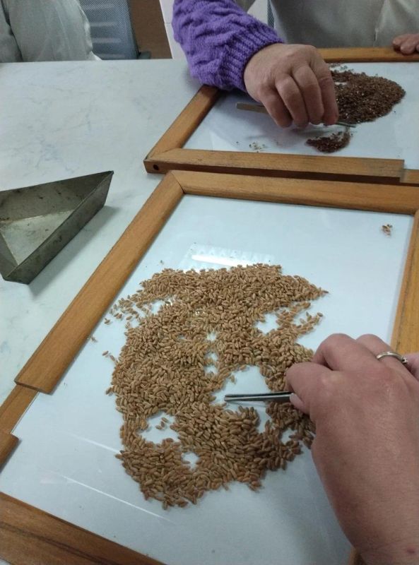 � ���������� ������� ������� ���������� �������� �������� ��������� ��������� ��� ������� ���� 2025 ����