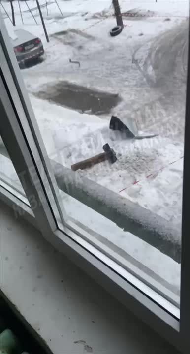 ����� ������������� ����������� �� ������������ ����������� ����������, ��� ���� �����������, ����� � ���������� ���, �������� � �����-������ ����� �������