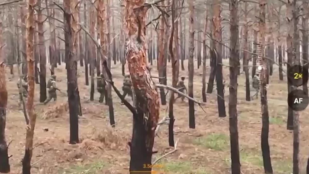 ��������� �������: ���� ���������� ���������� ���������������� ���� ������ ������ �� ��������� ����������